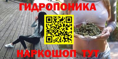кокс Лесосибирск